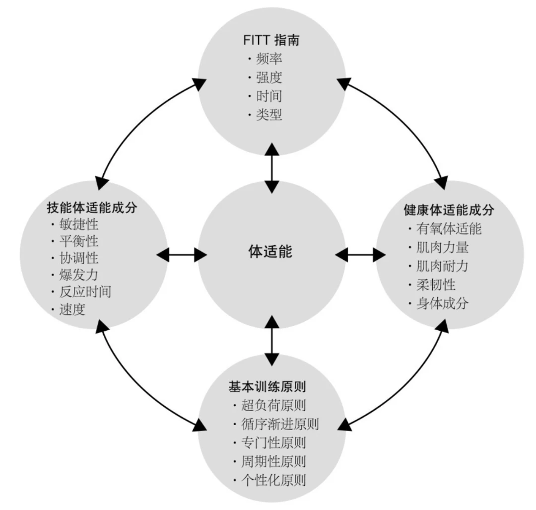 篮球训练心得体会200字左右作文_0